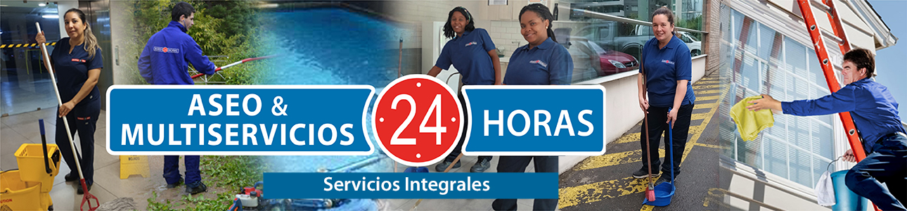 Asesorías de Seguridad Integral